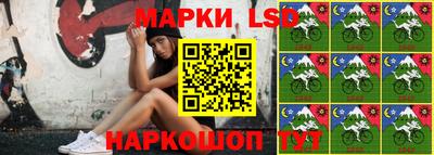 индика Пугачёв