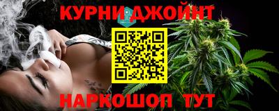 индика Пугачёв