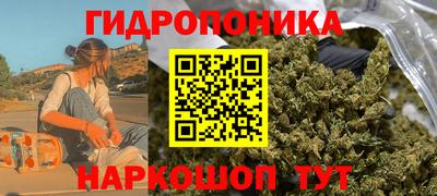 индика Пугачёв