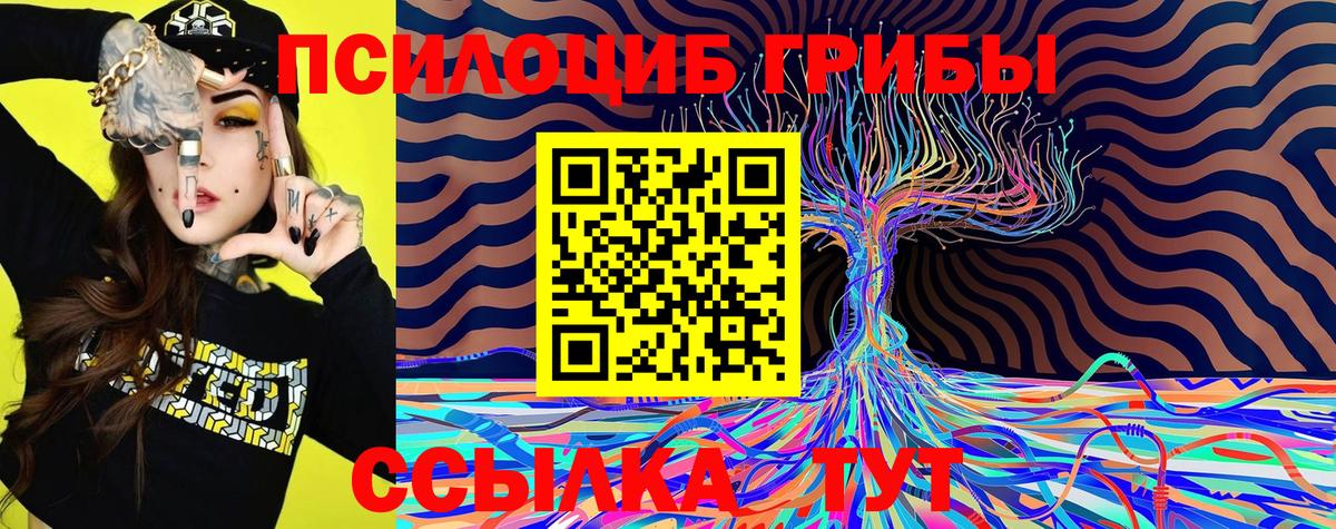 Сатка  Галлюциногенные грибы прущие грибы  Вход с VPN 